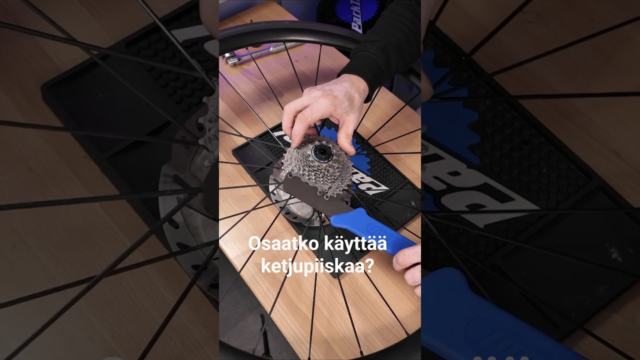 Osaatko käyttää ketjupiiskaa?