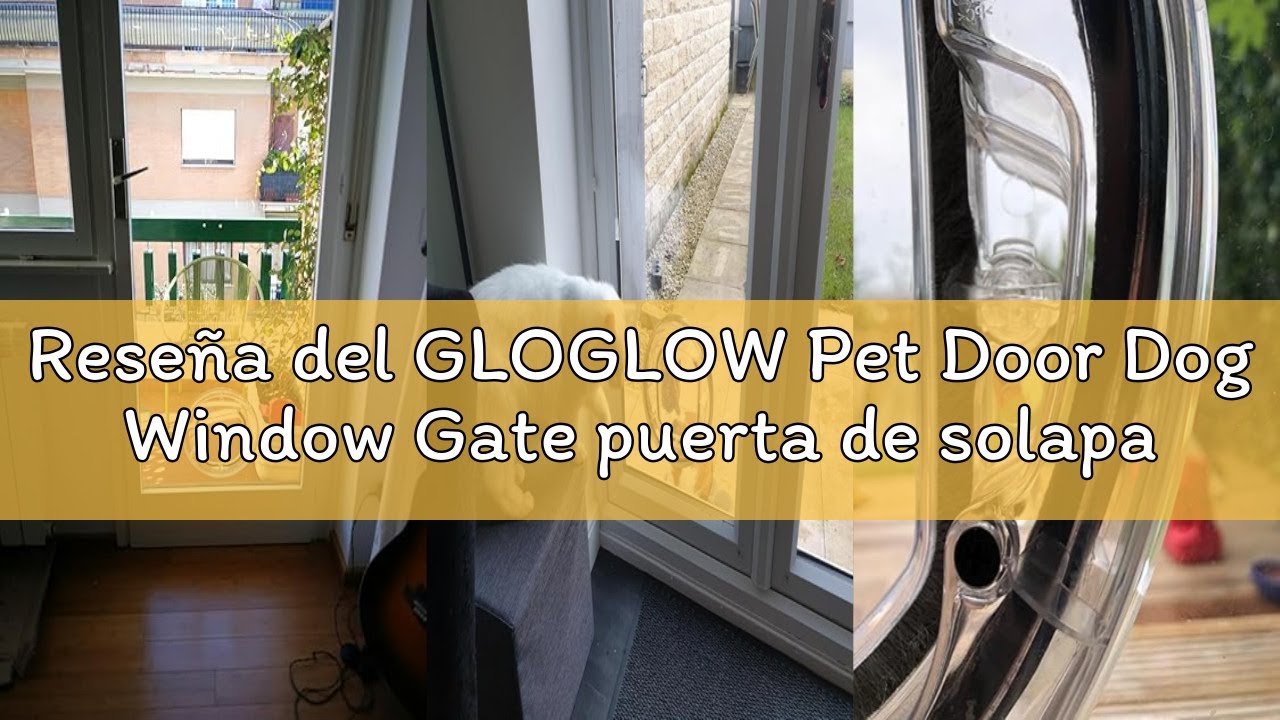Rese&ntilde;a del GLOGLOW Pet Door Dog Window Gate puerta de solapa redonda con 4 maneras de bloqueo y jueg