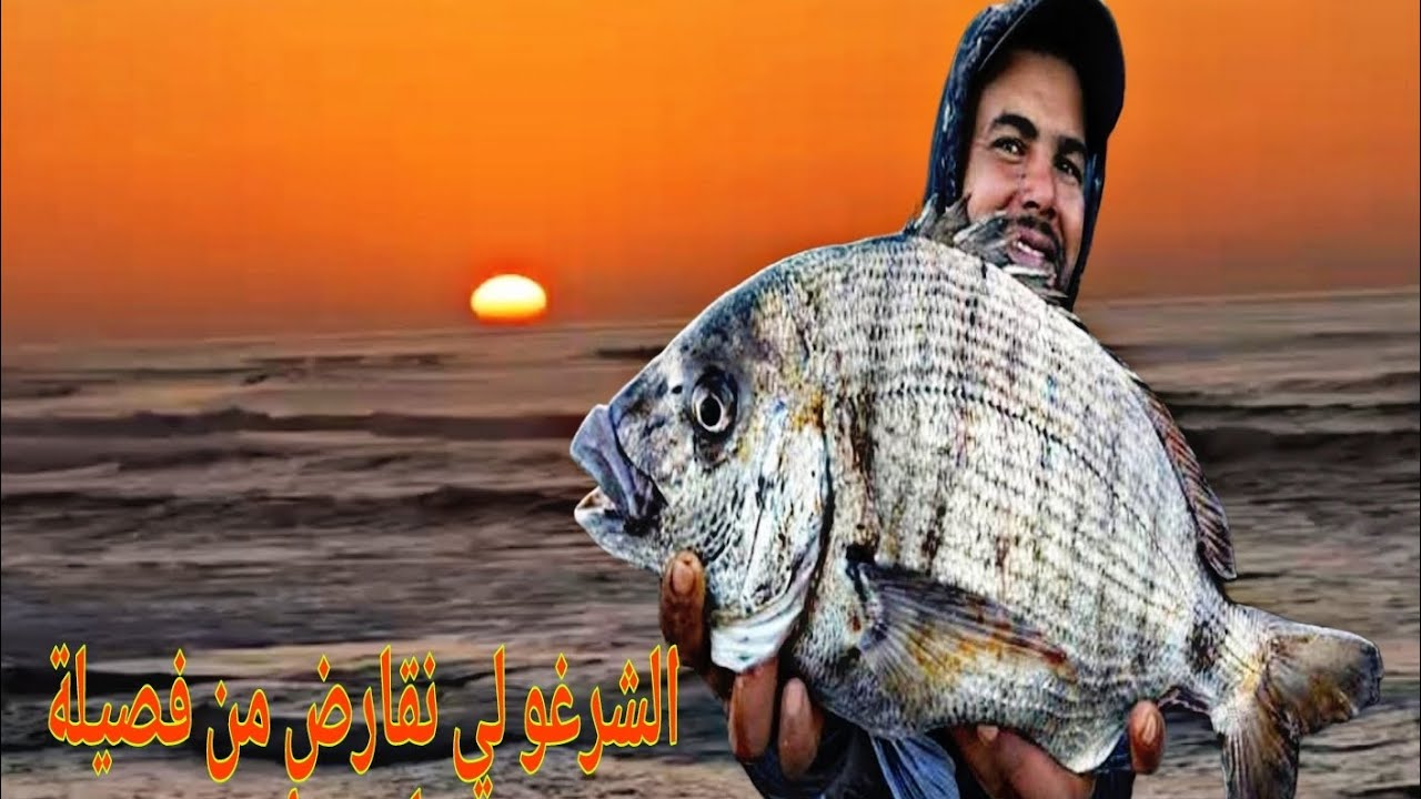 رحلة🏞️  صيد 🎣للبحت عن الأسماك 🐟العملاقة🐟@carrefourdespecheurs @Adilpeche