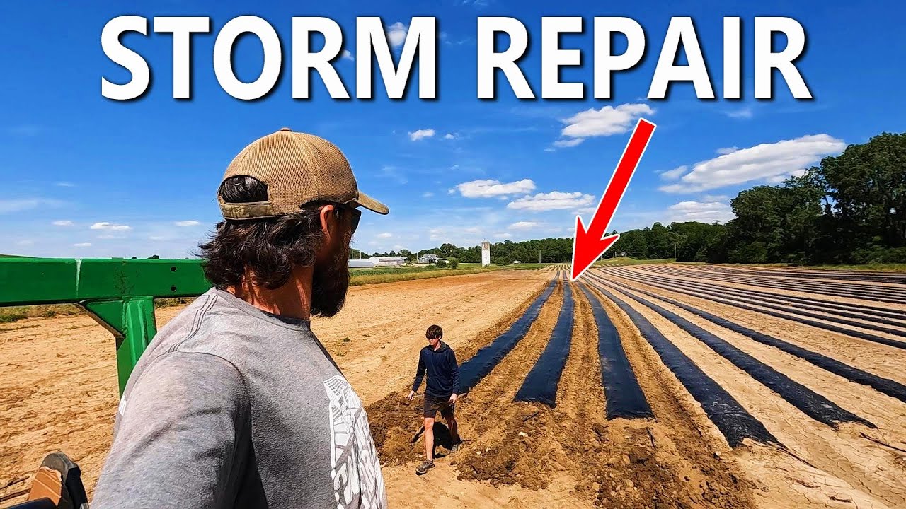 FROM SUNRISE TO SUNSET:  A VEGETABLE FARMER'S DAILY GRIND
