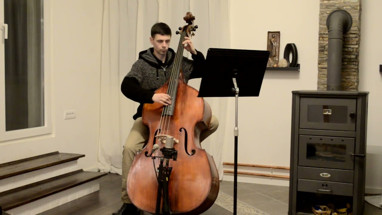 A. F. Vavra master double bass - pizz demo on two types of strings