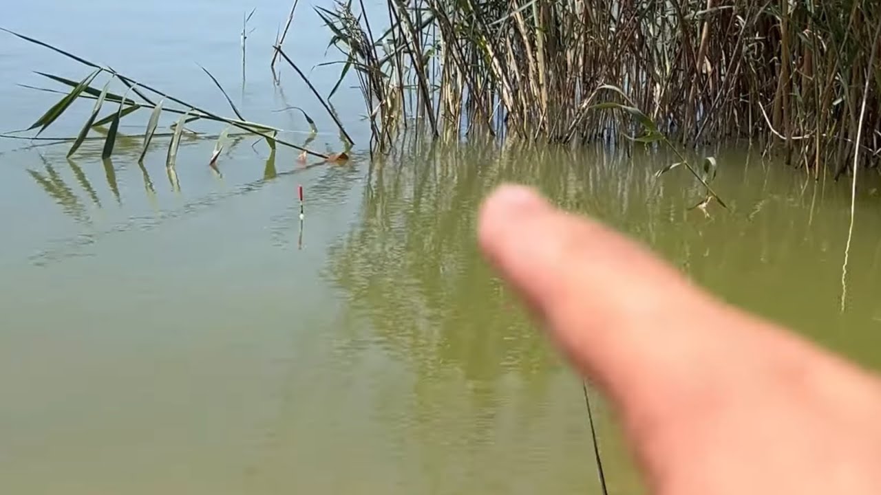 Pescuit la buza stufului