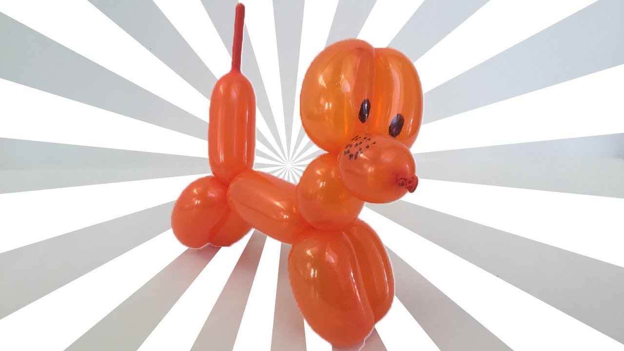 Chien en ballon sculpture tuto facile !