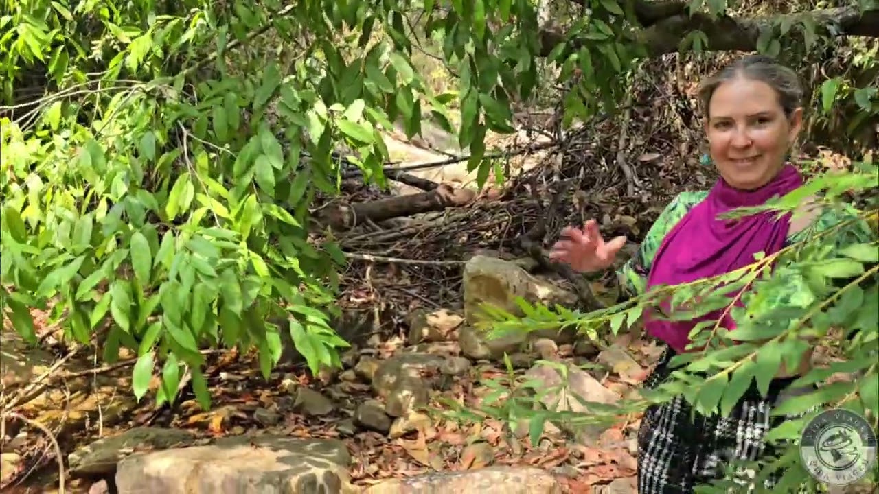 Campo Alegre - Paranã - São Salvador do Tocantins - Tocantins - Brasil - 2025