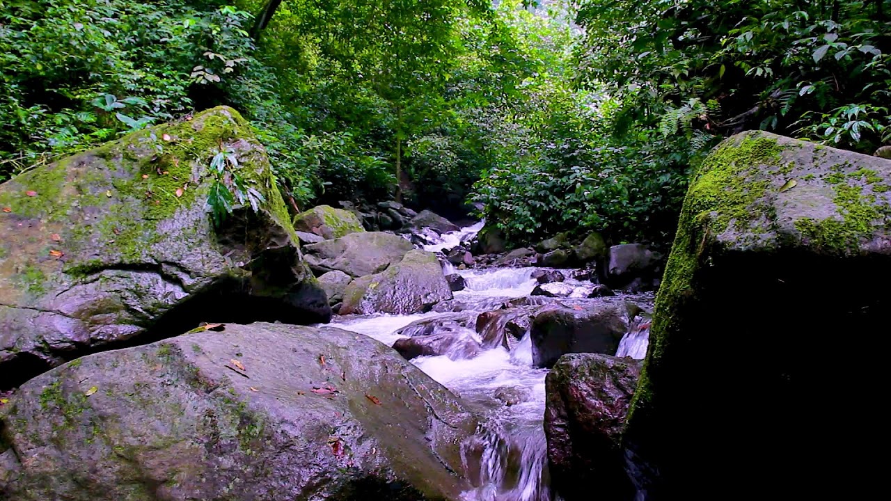 Relax Your Mind with Mountain River Flowing Sounds, Natural White Noise Background