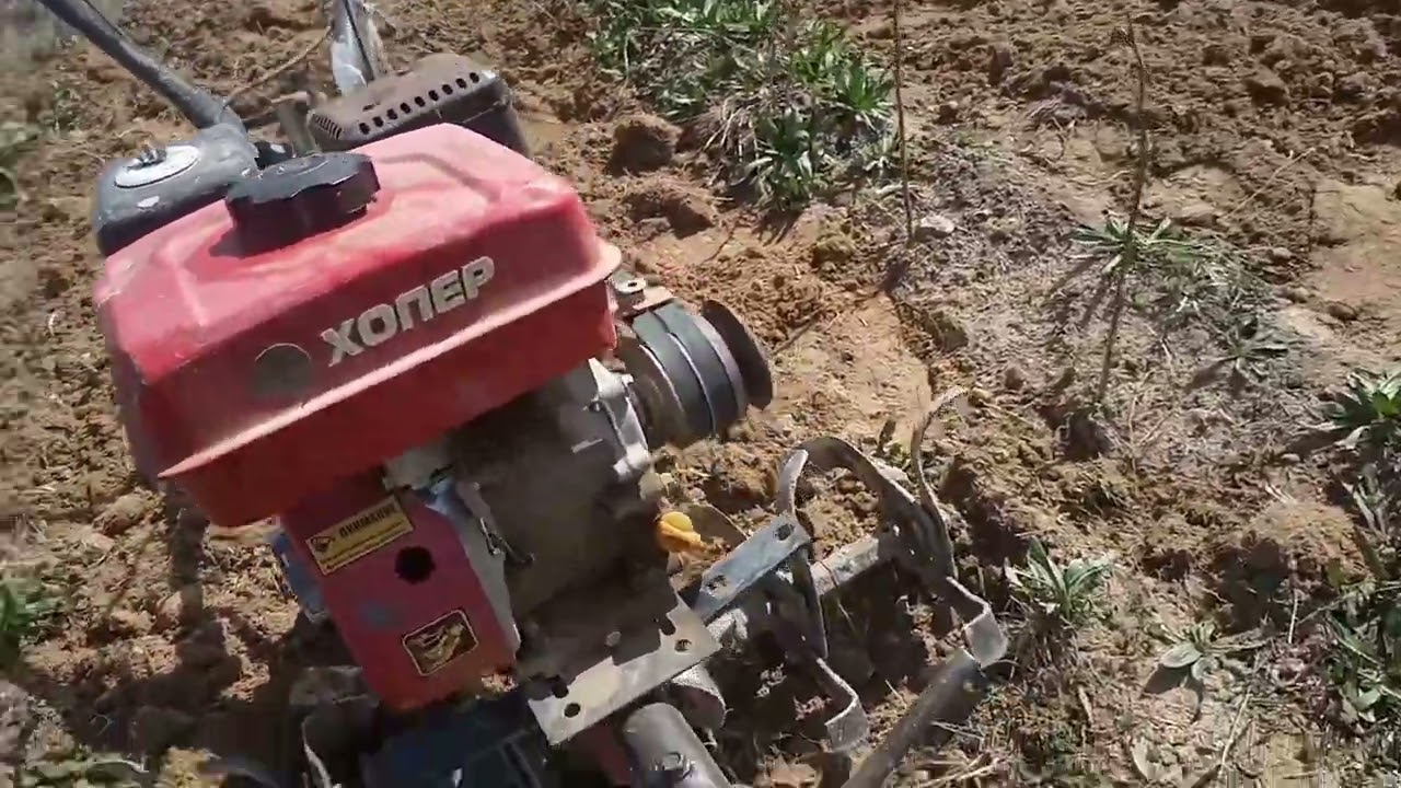 Малина биринчи тигилген жылы отоо чөбү чабылабы?..( Маравилла,Пшехиба келди)