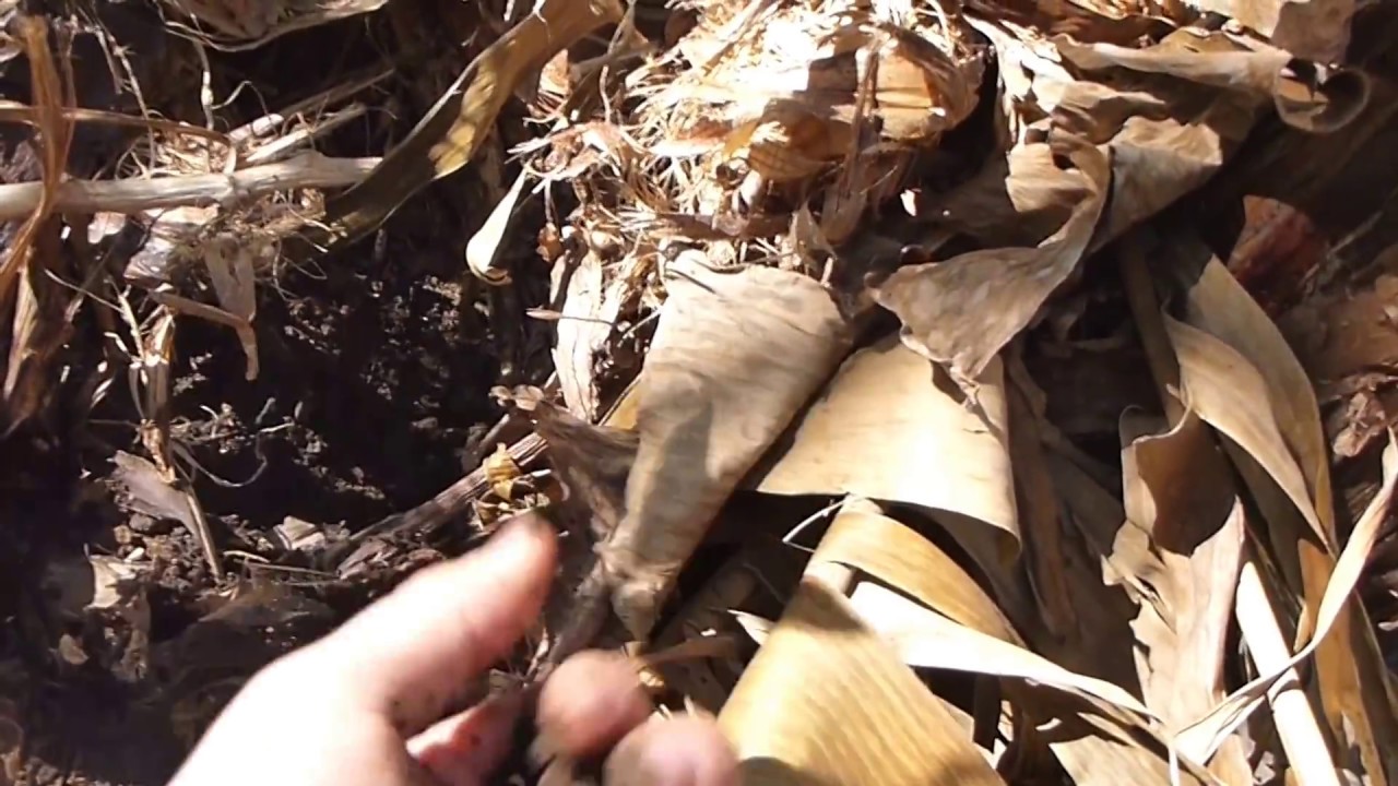 PermaTip Benefits of Heavy Mulch