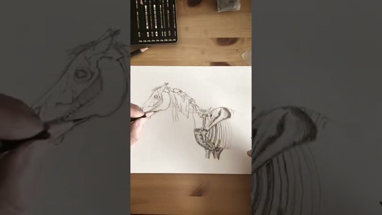 Skeleton Horse Sketch 🙌 Subscribe for more 2-hand art 