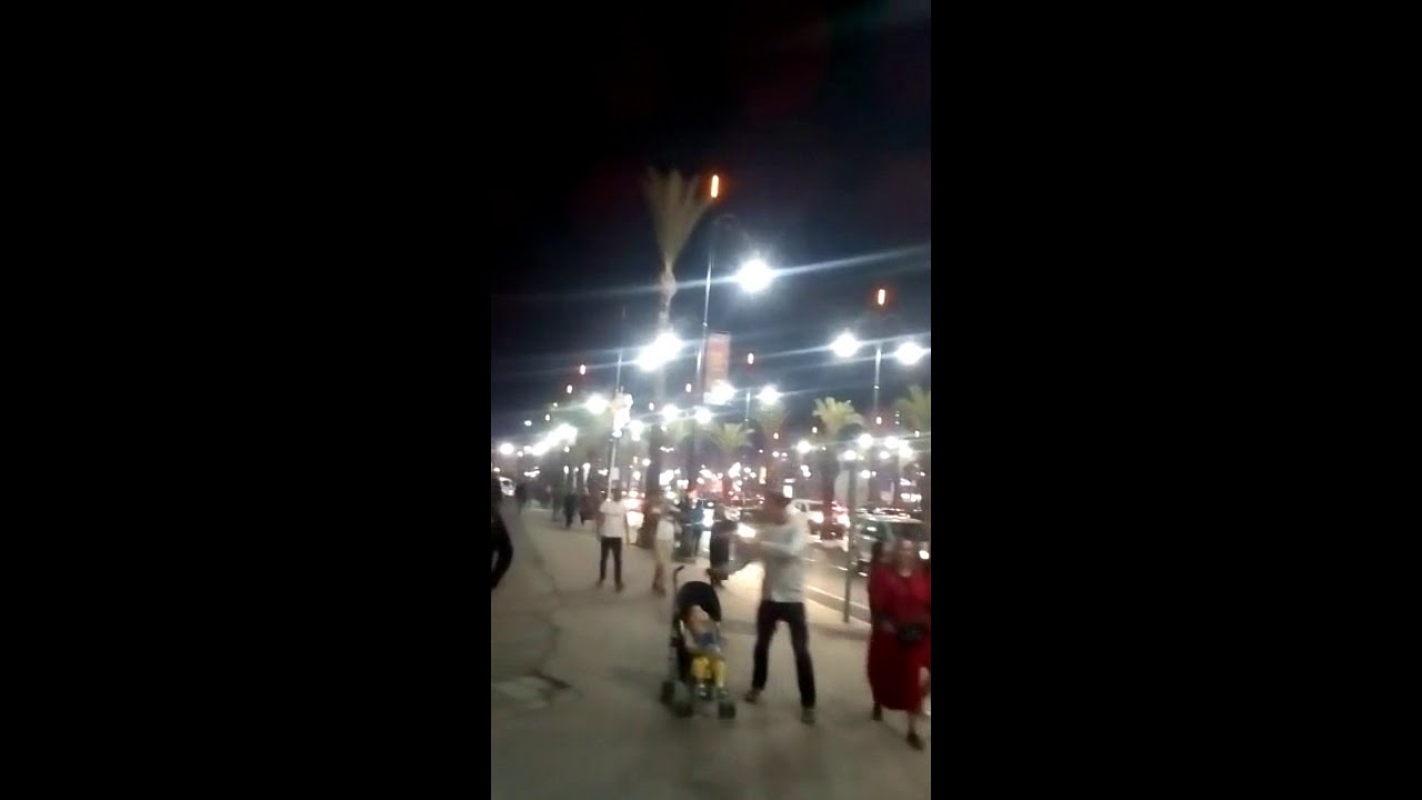 أجواء الفرحة تخرج مدينة البهجة بعد تأهل الأسود