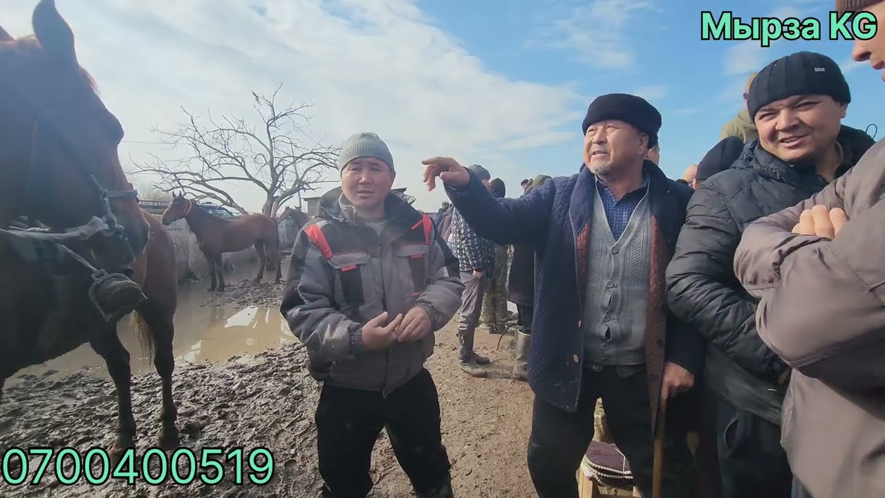 Манас шаары Жылкы базары 14 февраль 2026жыл 