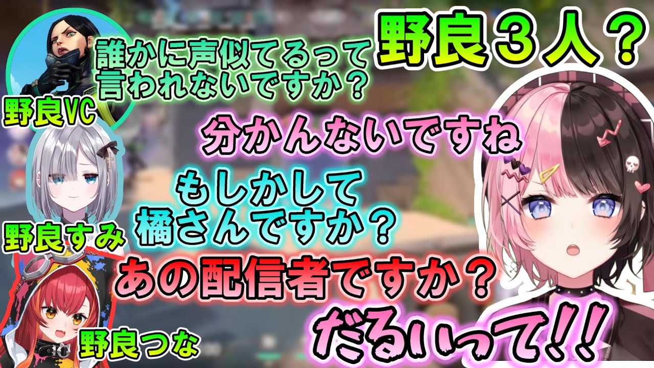 野良VCに配信者バレするひな～のと悪乗りするすーちゃん＆つなちゃん【ぶいすぽっ！/花芽すみれ/猫汰つな/橘ひなの/切り抜き】