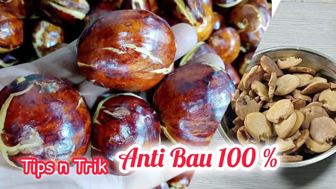 Begini Cara Mengolah Jengkol Agar TIDAK BAU ‼️JENGKOL ANTI BAU 100%
