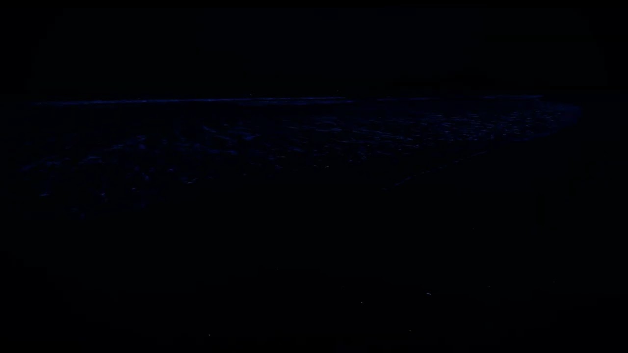 🌙 Ocean Waves Sound for Deep Sleep 🌊 No Ads  Insomnia Relief & Full Night Relaxation