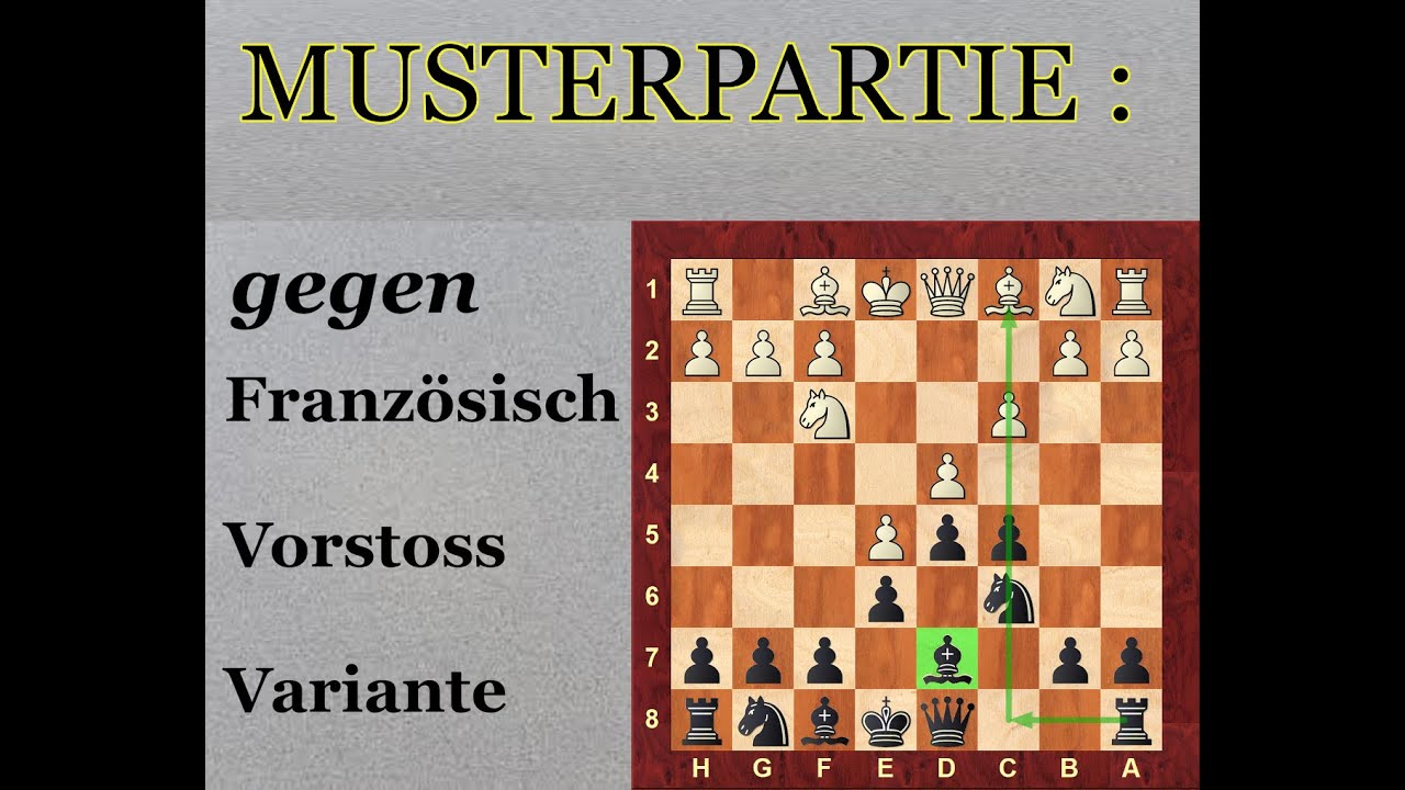 Musterpartie Französisch Vorstossvariante - Strategien und Pläne für Schwarz