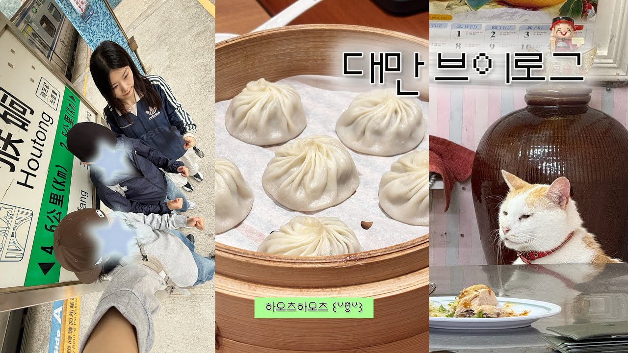 대만 여행 브이로그 ✰ 허우통 고양이 마을 ・ 인생 딤섬과의 만남 ✰ Taiwan Vlog