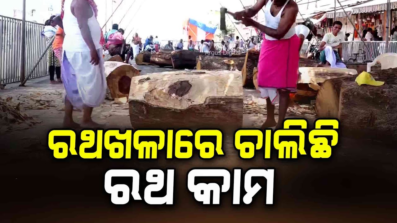 Puri Rath Yatra: Lord Jagannath's Chariot Construction Work Begins In Full Sing | Argus Digital