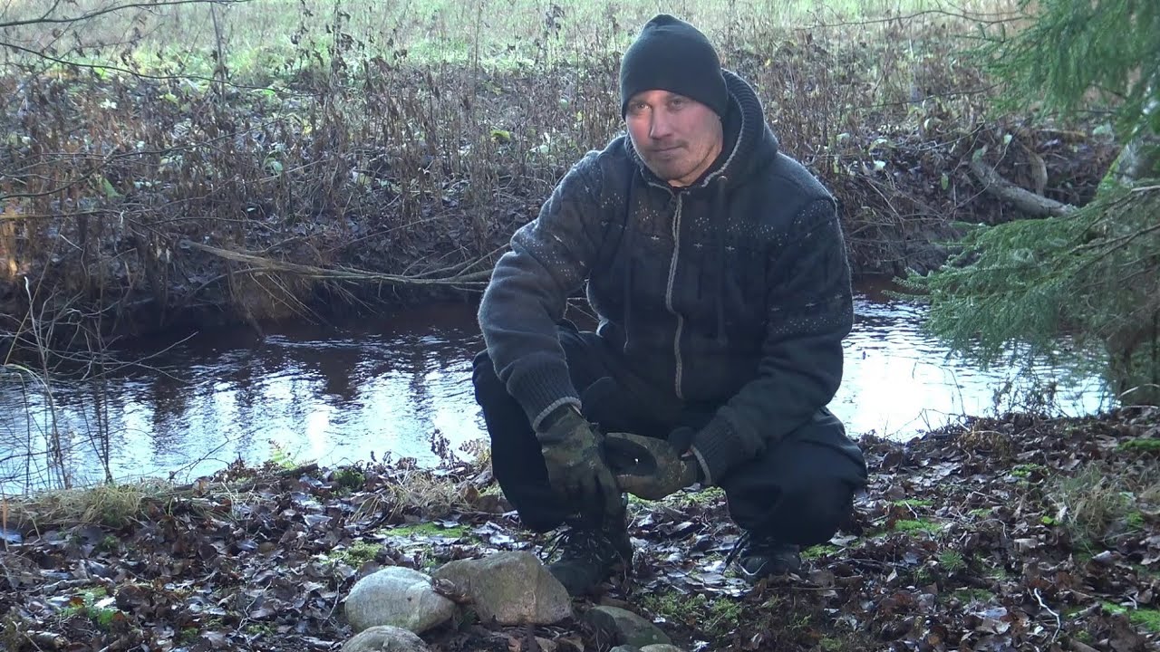 Nuotio Märistä Puista | Campfire From Wet Twigs