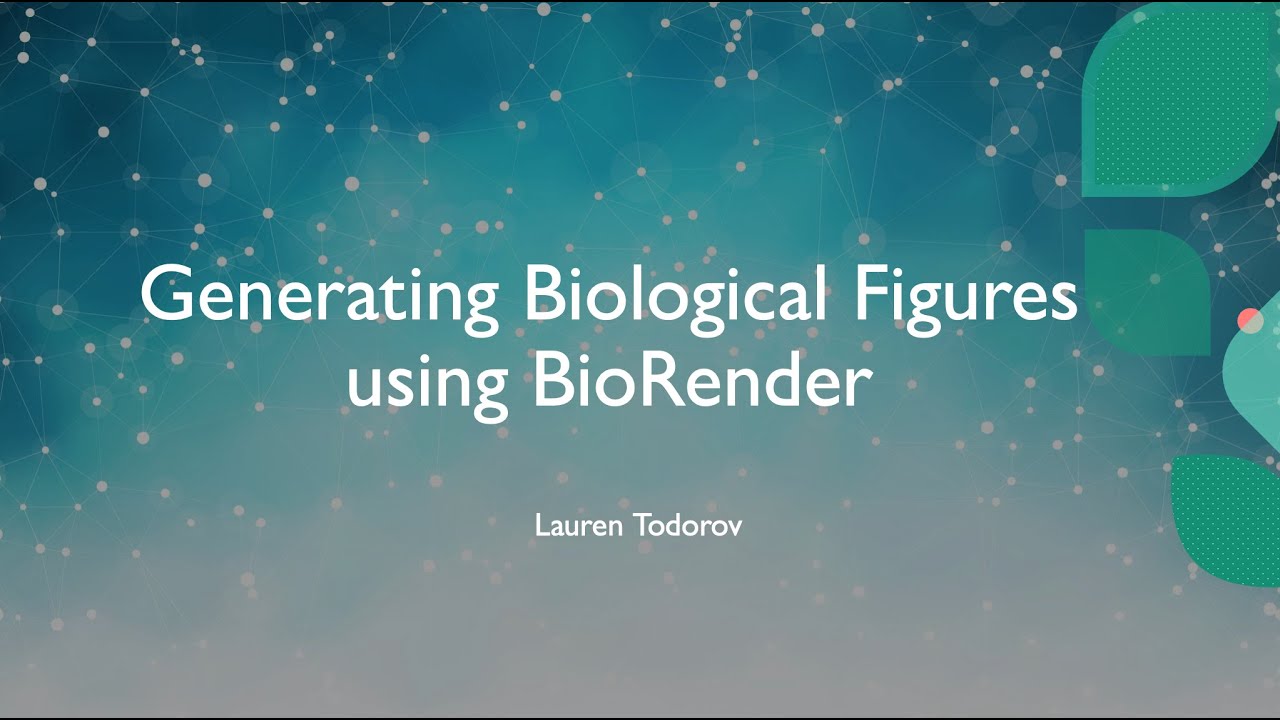 BioRender tutorial for making figures (Hedgehog signaling pathway)