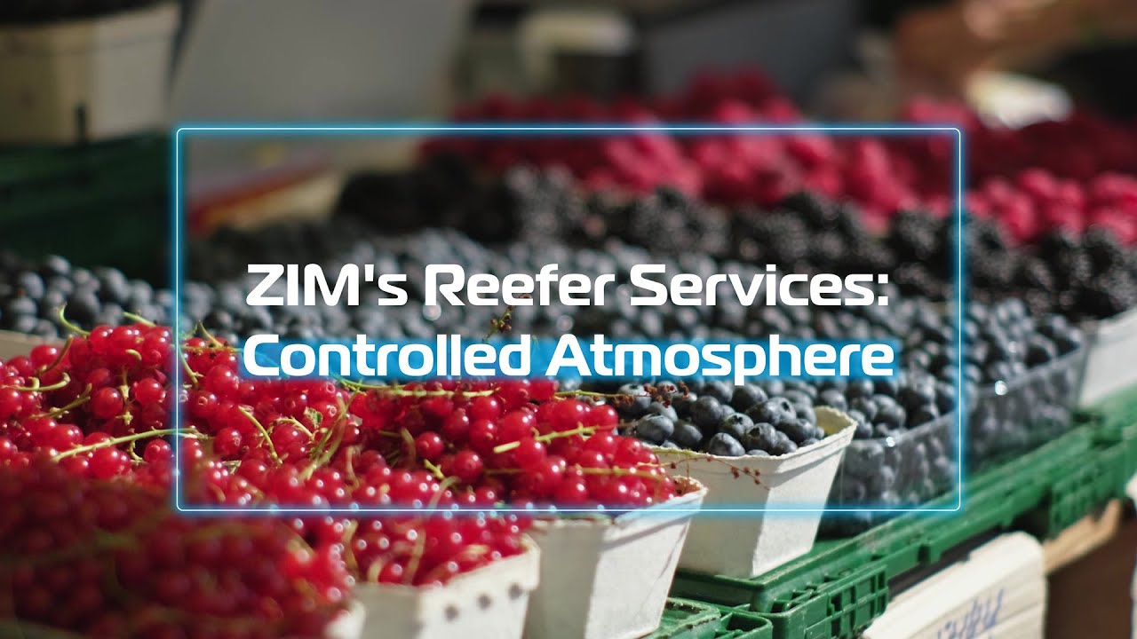 ZIM Controlled Atmosphere Technology