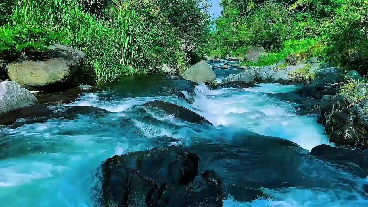 Forest River Continuous Flow, Mountain Stream Audio, Sleep