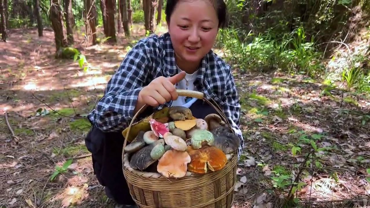 狗屎运爆发！刚进山就撞见‘菌中霸王’，这尺寸你敢信？