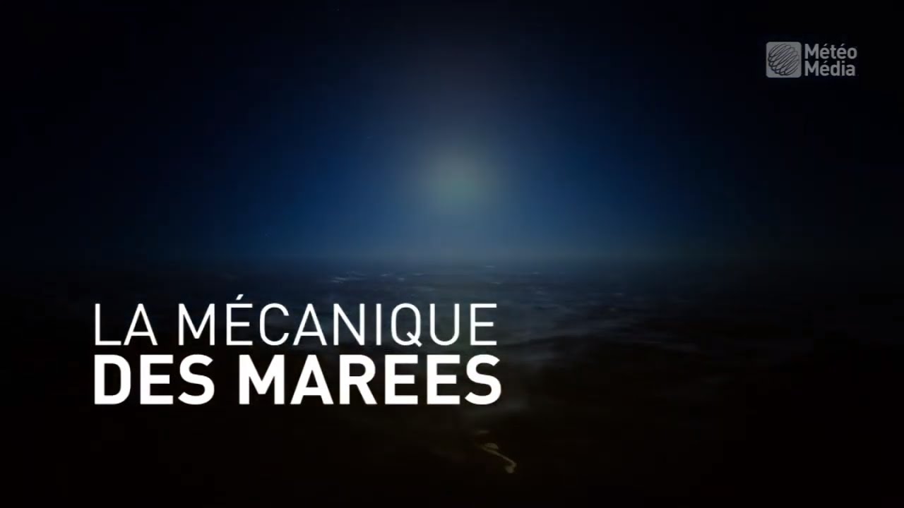 Comment marche les mar&eacute;es
