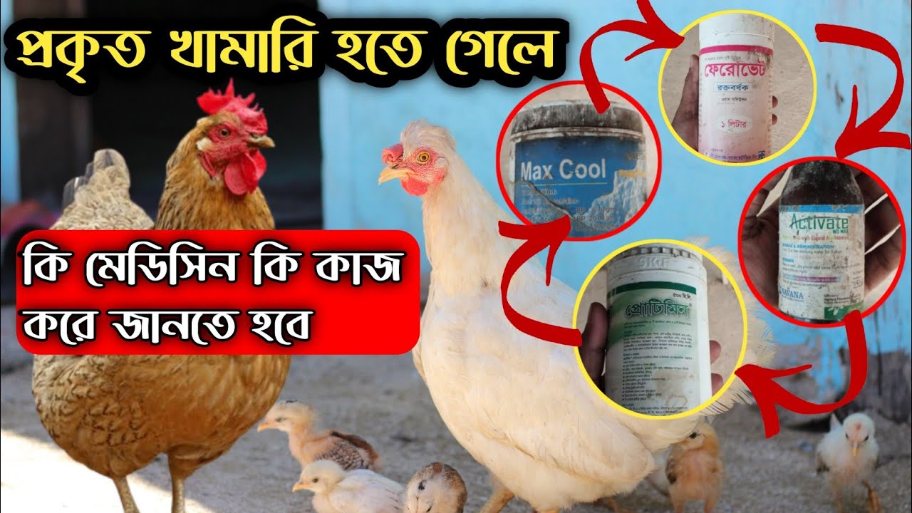 প্রকৃতপক্ষে খামারি হতে হলে, আগে জানতে হবে কোন মেডিসিন কি কাজ করে #shakilfarming #murgipalon
