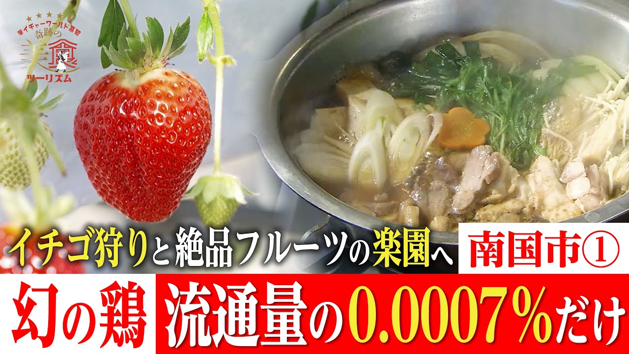 【希少0.0007％💎】幻のシャモとフルーツの楽園・南国市①｜奇跡の美食ツーリズム #高知 #高知グルメ #高知旅