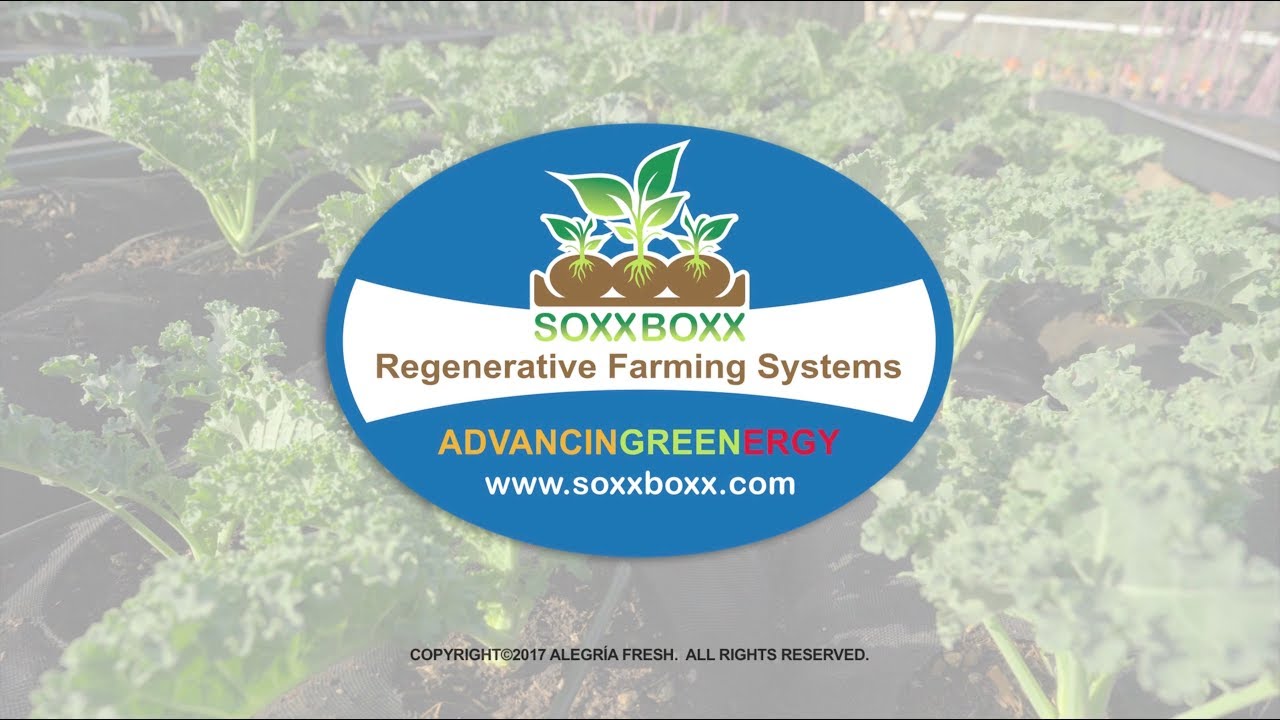 Alegría SoxxBoxx: Regenerative Farming Systems