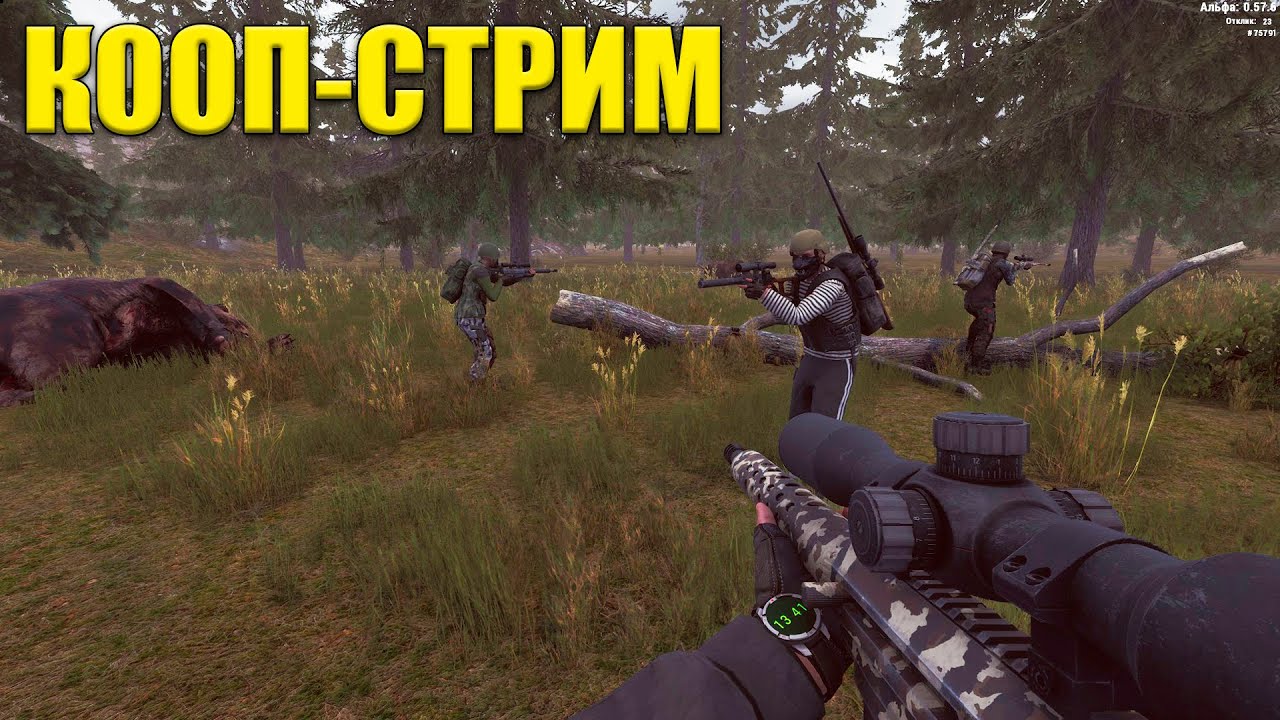 КООП-СТРИМ С  @Kop3uHbl4 ОБЩАЕМСЯ И КАЧАЕМСЯ В WILL TO LIVE ONLINE