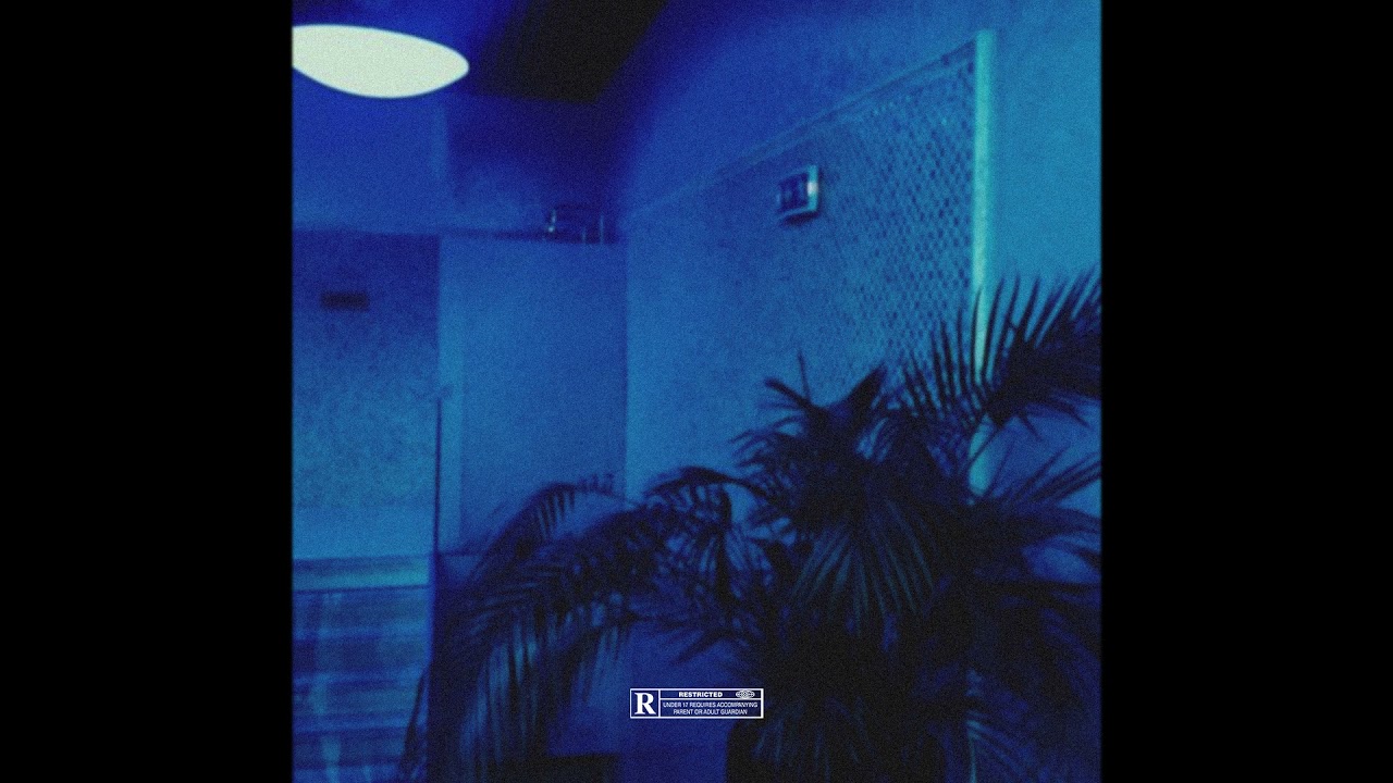 (FREE) Drake x Partynextdoor Type Beat – 