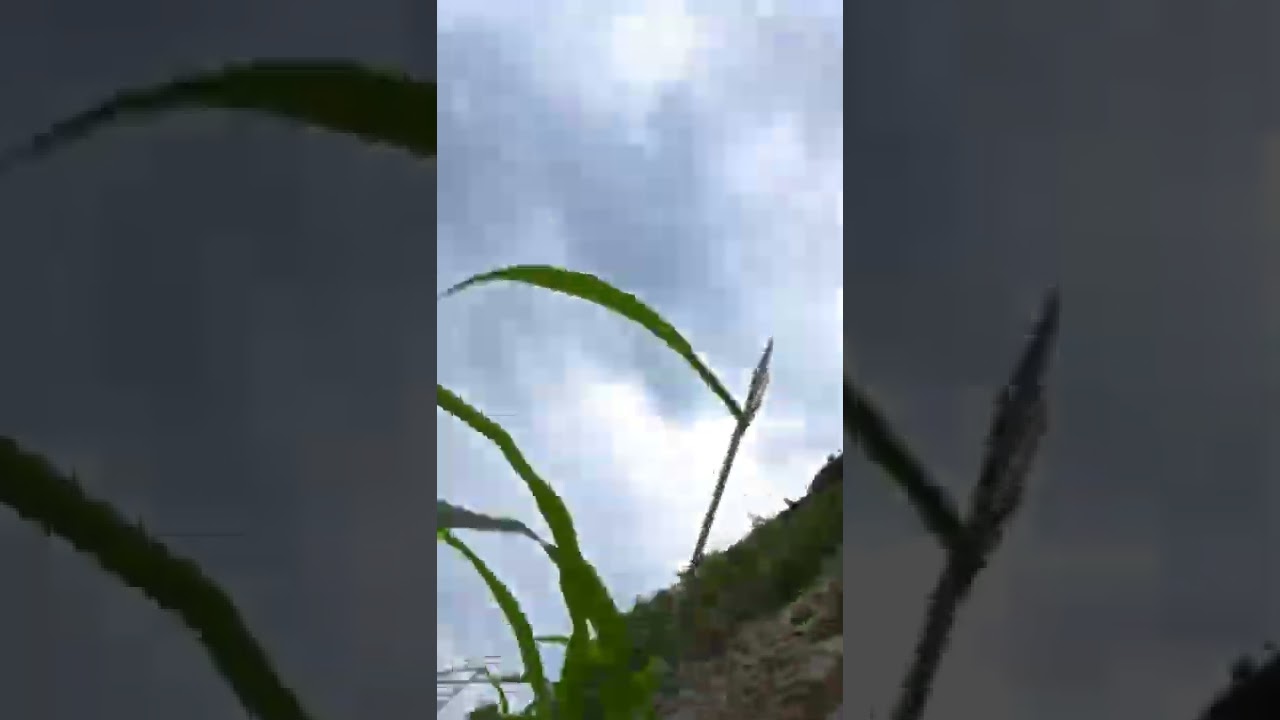 DJI Mavic Air 2 CRASHED! (It was fine though) #dronecrash