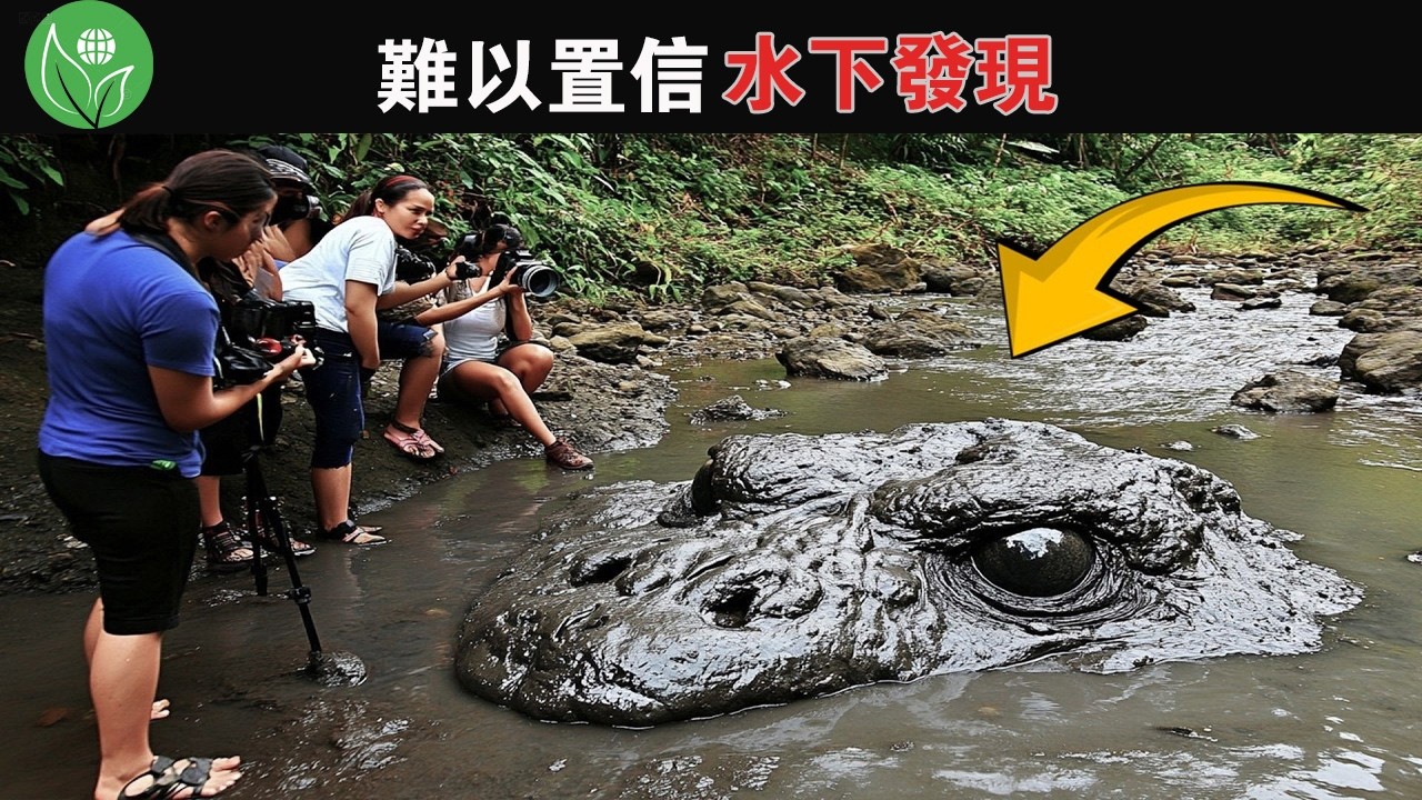 生物學家緊急封鎖消息，近期剛果的恐怖發現震驚了整個世界！ 這TOP20難以置信的水下發現，不應該被人們看到！ #神秘的生物#漁民發現#奇怪的水下生物