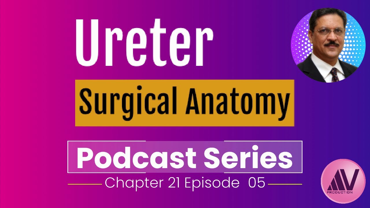 Surgical Anatomy of Ureter Ch 21 Ep 05