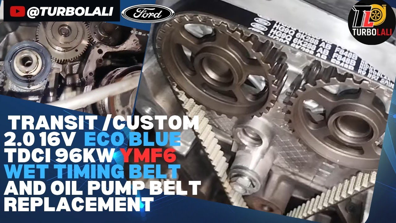 Ford Transit Custom 2.0tdci Eco Blue 96 kW YMF6 Wet timing belt and oil pump belt change