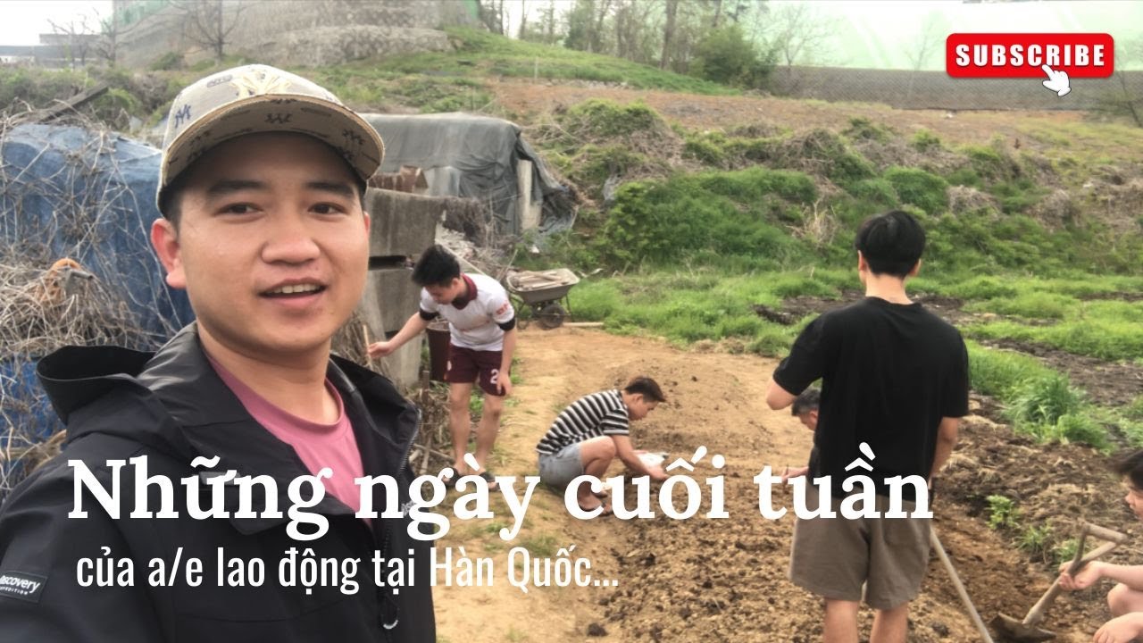 Những ngày cuối tuần của a/e lao động tại Hàn Quốc...