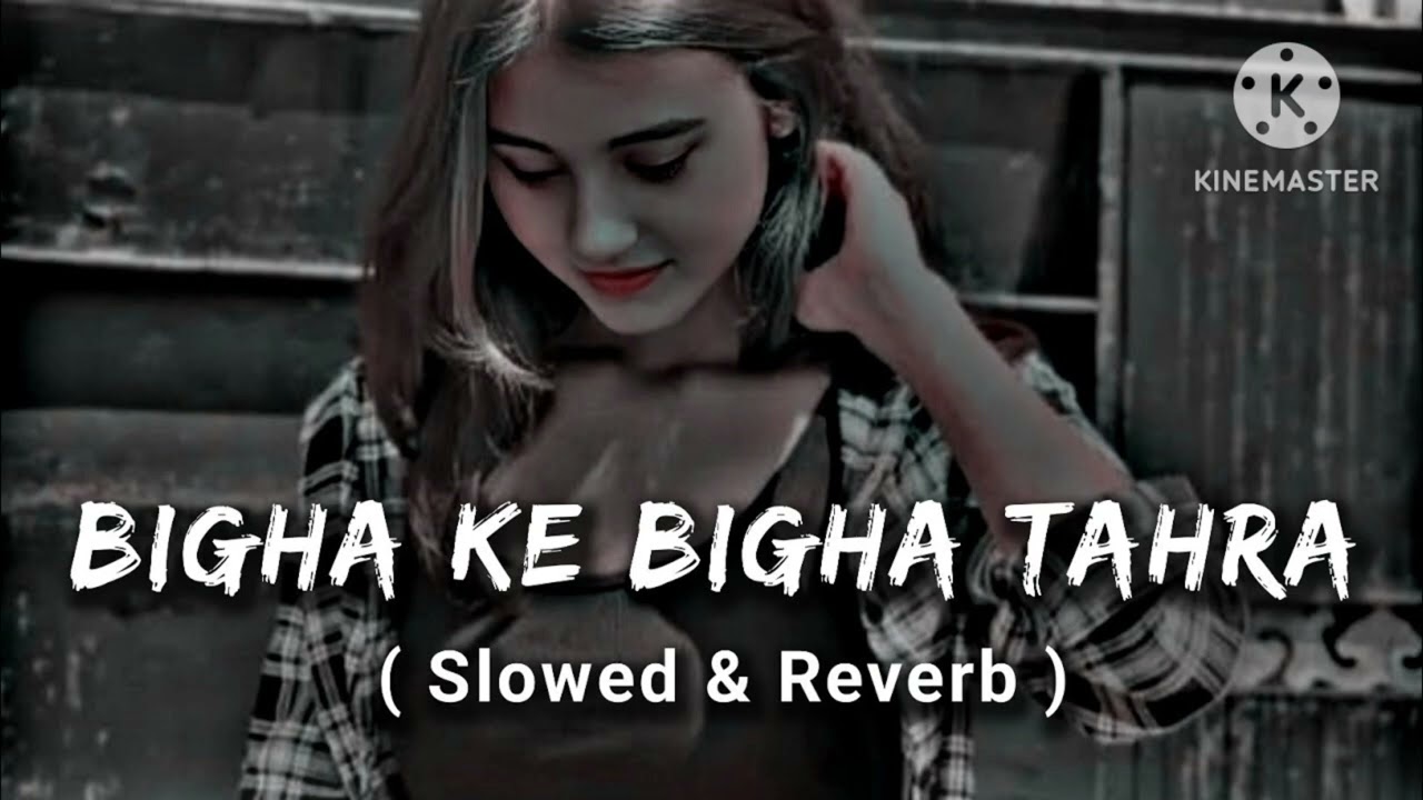 10 March 2026 Bigha ke bigha lofi rangdari song ⚜️