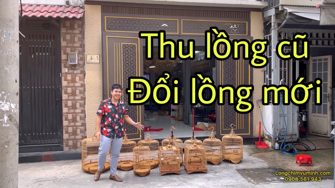Giao Lưu - nâng cấp lồng -Vũ Minh chính thức triển khai dịch vụ mới