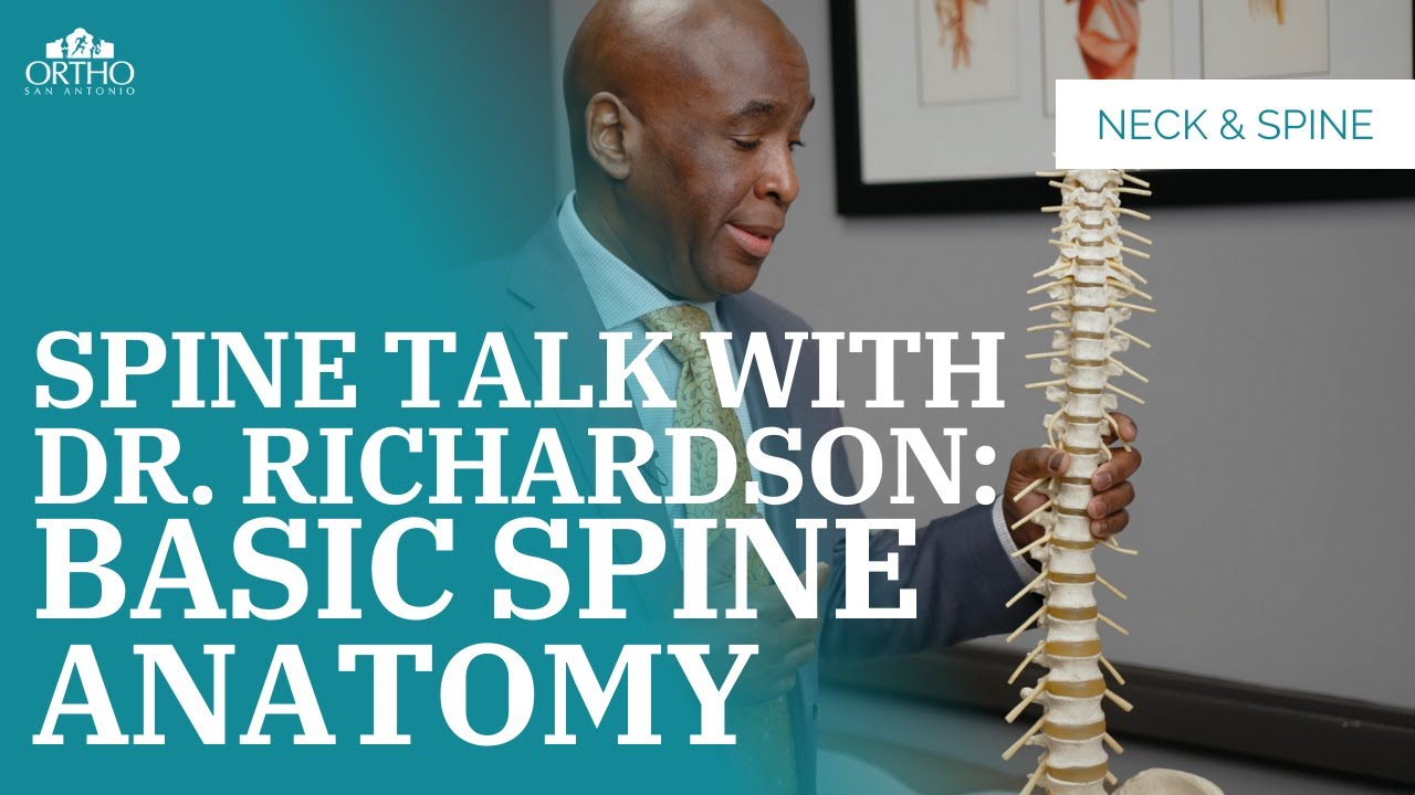 Basic Spine Anatomy #spinesurgeon