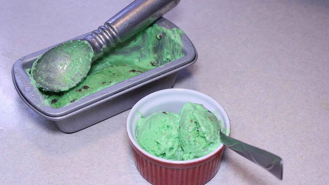 Mint Chocolate Chip Frozen Yogurt/Ice Cream with protein powder