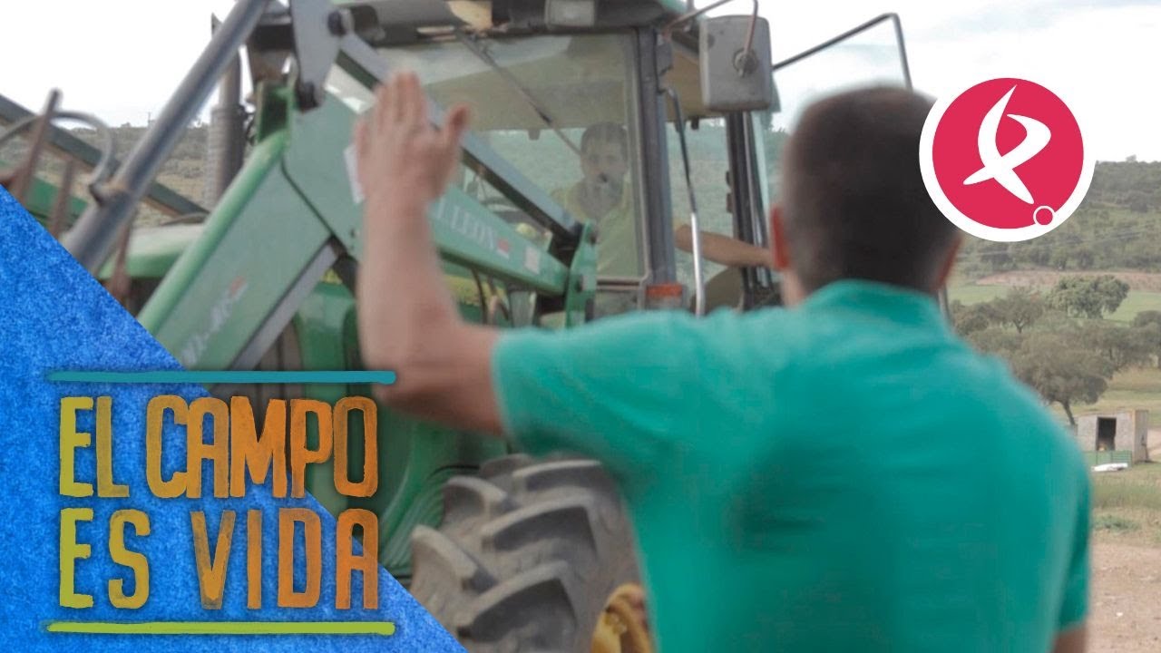 Discrepancias entre los Mellis  para el corral de sus ovejas | El campo es vida
