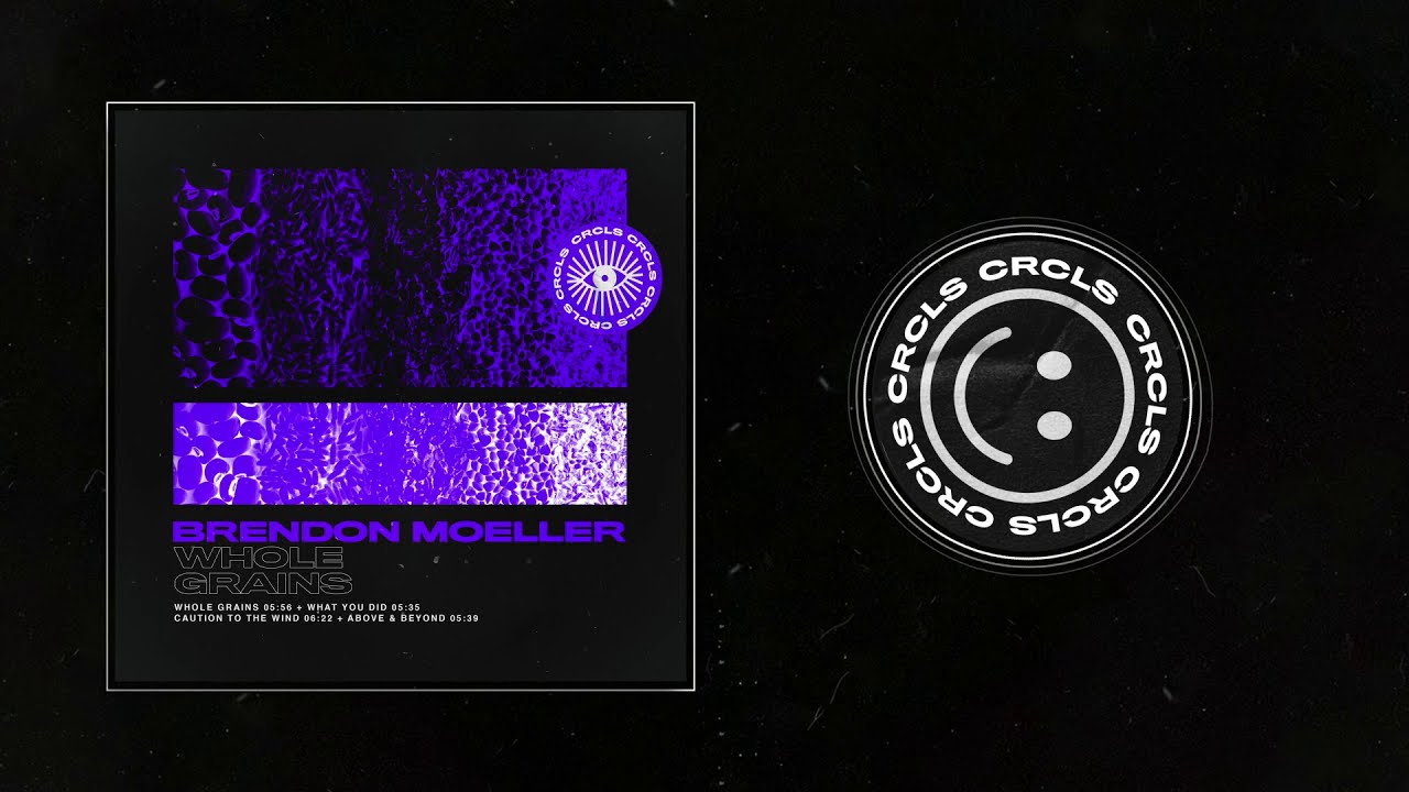Brendon Moeller - What You Did