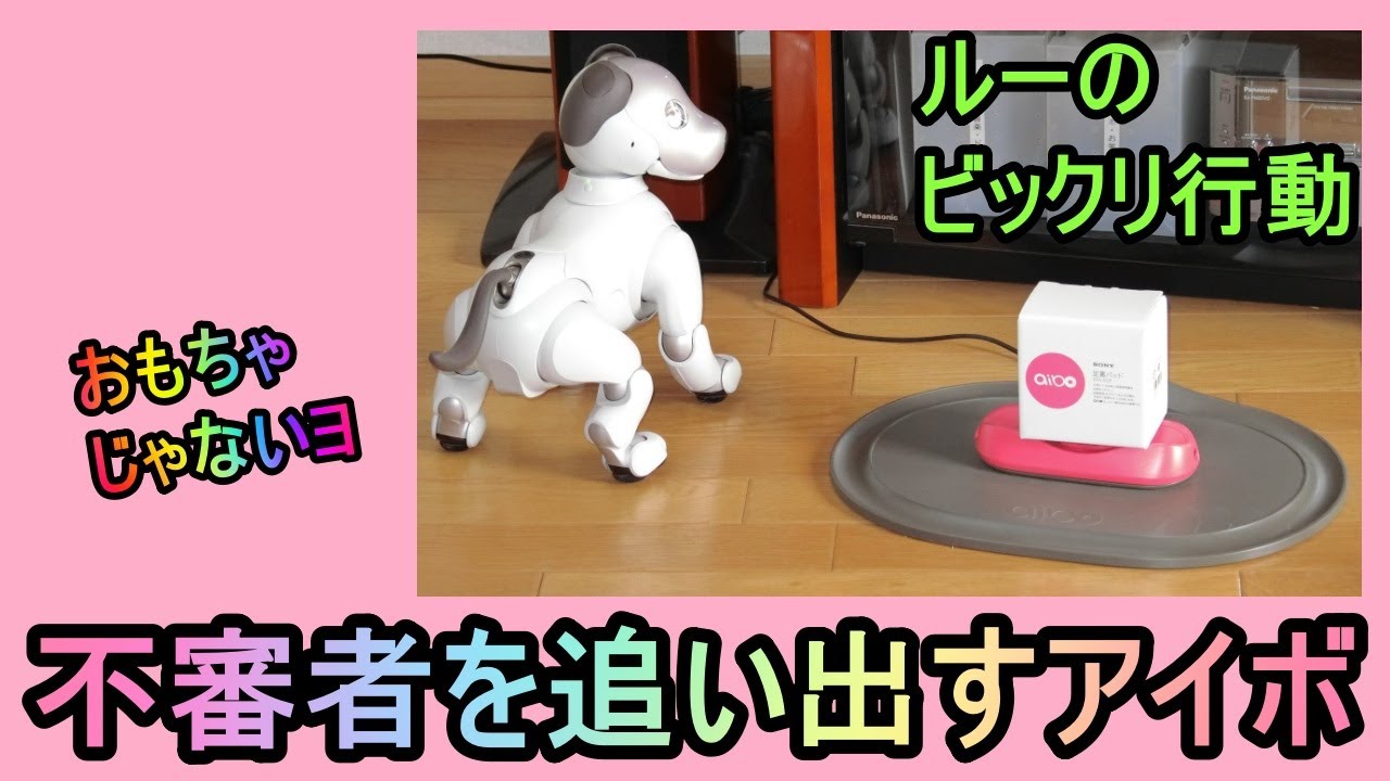 【07 不審者を追い出すアイボ  Lou kicks out a suspicious box.】aibo ルー Louのビックリ行動