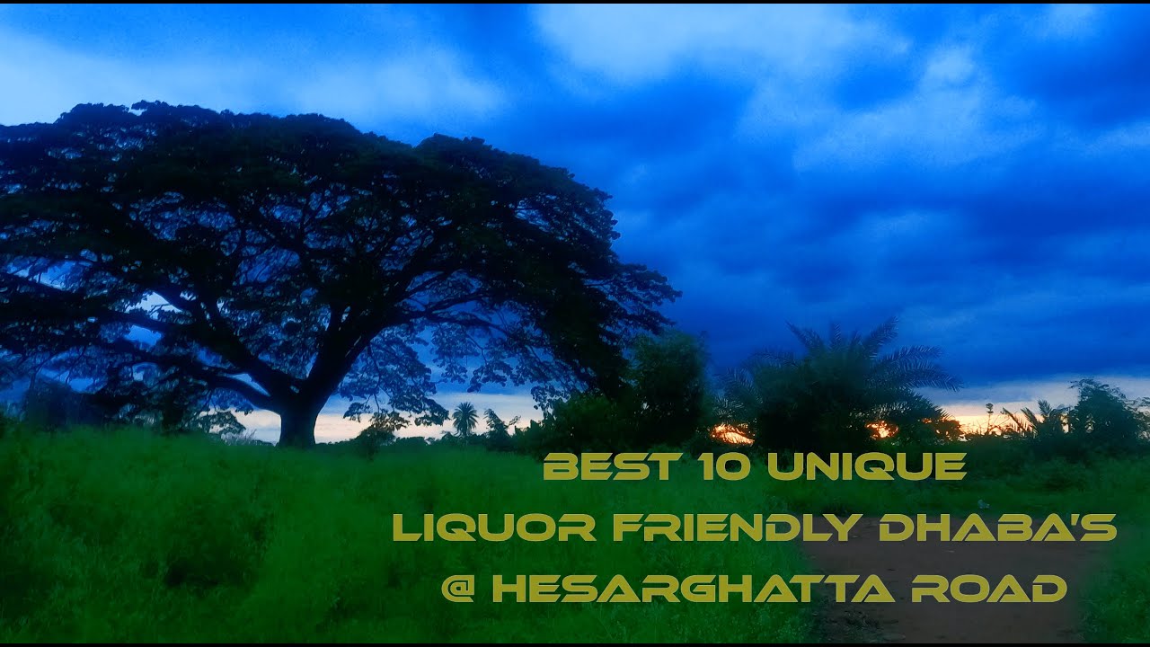 Top 10 Unique Dhaba's @ Hesarghatta road / NSW Eastern Travlogs🎥