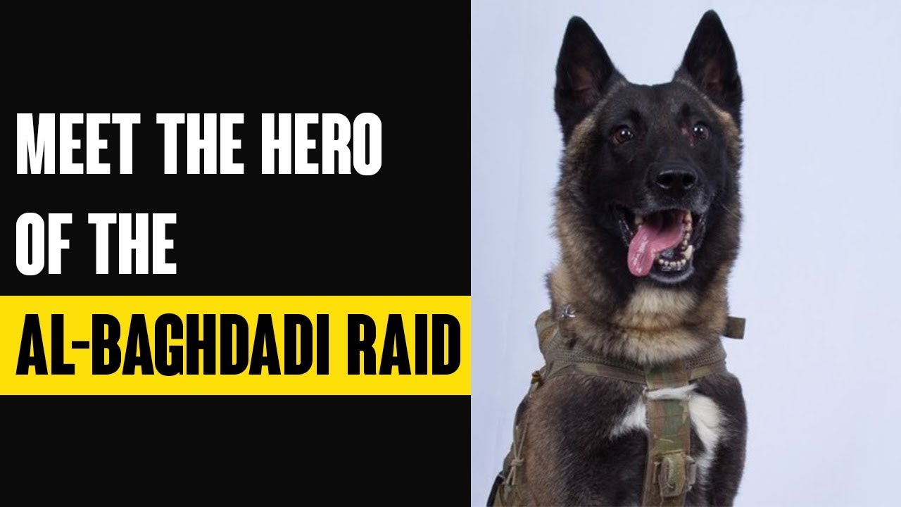 Meet The Hero of the Al-Baghdadi Raid | Indiatimes