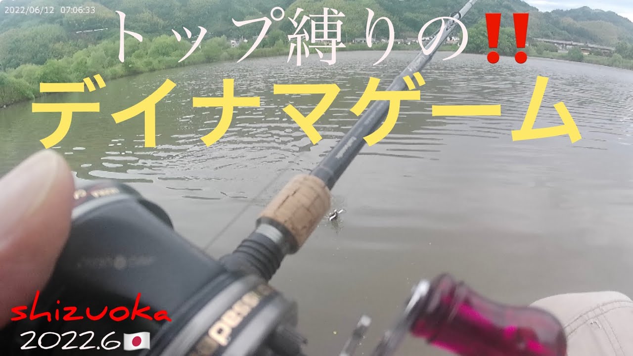 【ナマズ釣り】デイナマ！羽根物ルアー‼️(ザックロールヤジロベーJr)でナマズ釣り🎣