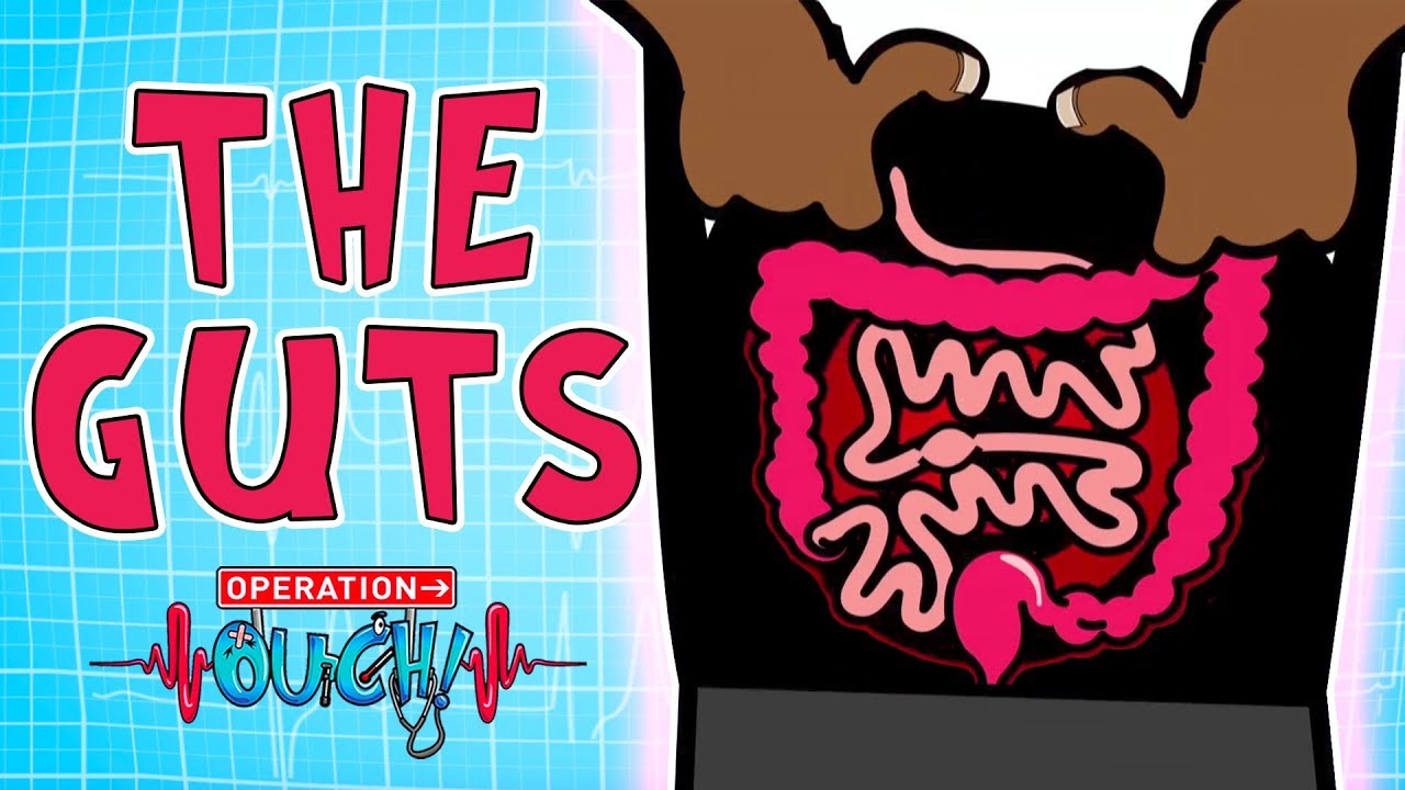 Operation Ouch - The Guts | Biology Lessons for Kids