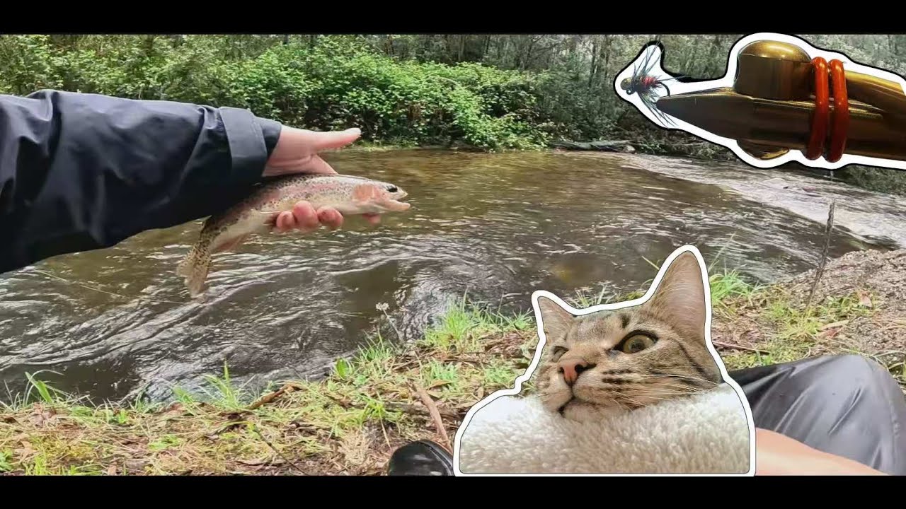 猫毛做饵！飞钓墨尔本最被钓烂的小溪