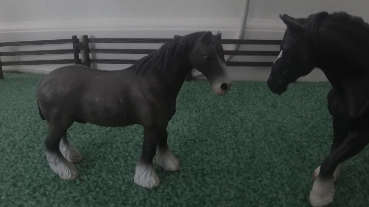 Historia Strzały (specjalny film z okazji moich urodzin) ❤️ 🐎 🎂