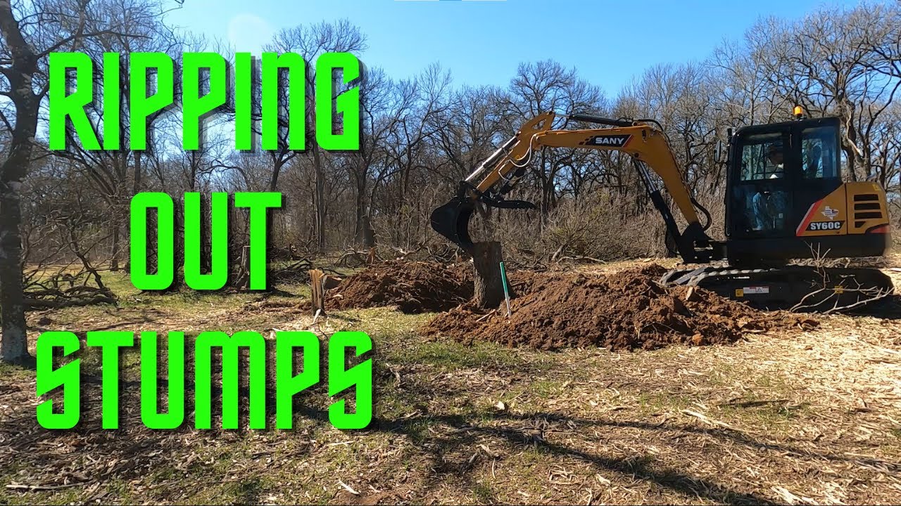 Grandview TX, Ripping Out Stumps (Sany SY60C Excavator)